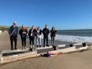 Groynes